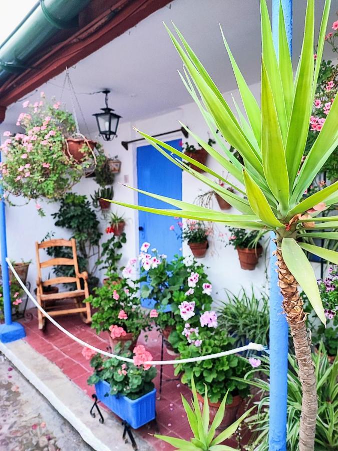 Apartamento Alcazar San Basilio Cordova Esterno foto