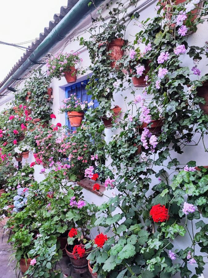 Apartamento Alcazar San Basilio Cordova Esterno foto