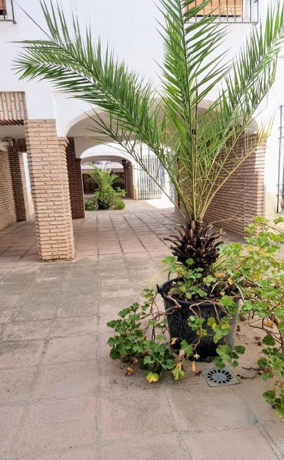 Apartamento Alcazar San Basilio Cordova Esterno foto